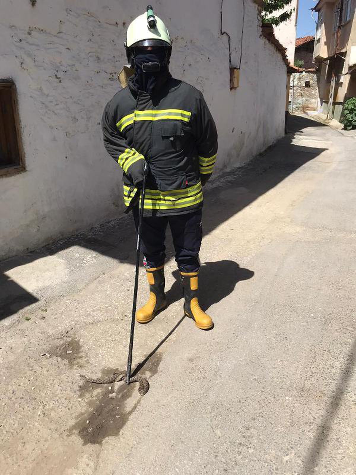Manisa\'nın iki ilçesinde yılan kurtarma operasyonu