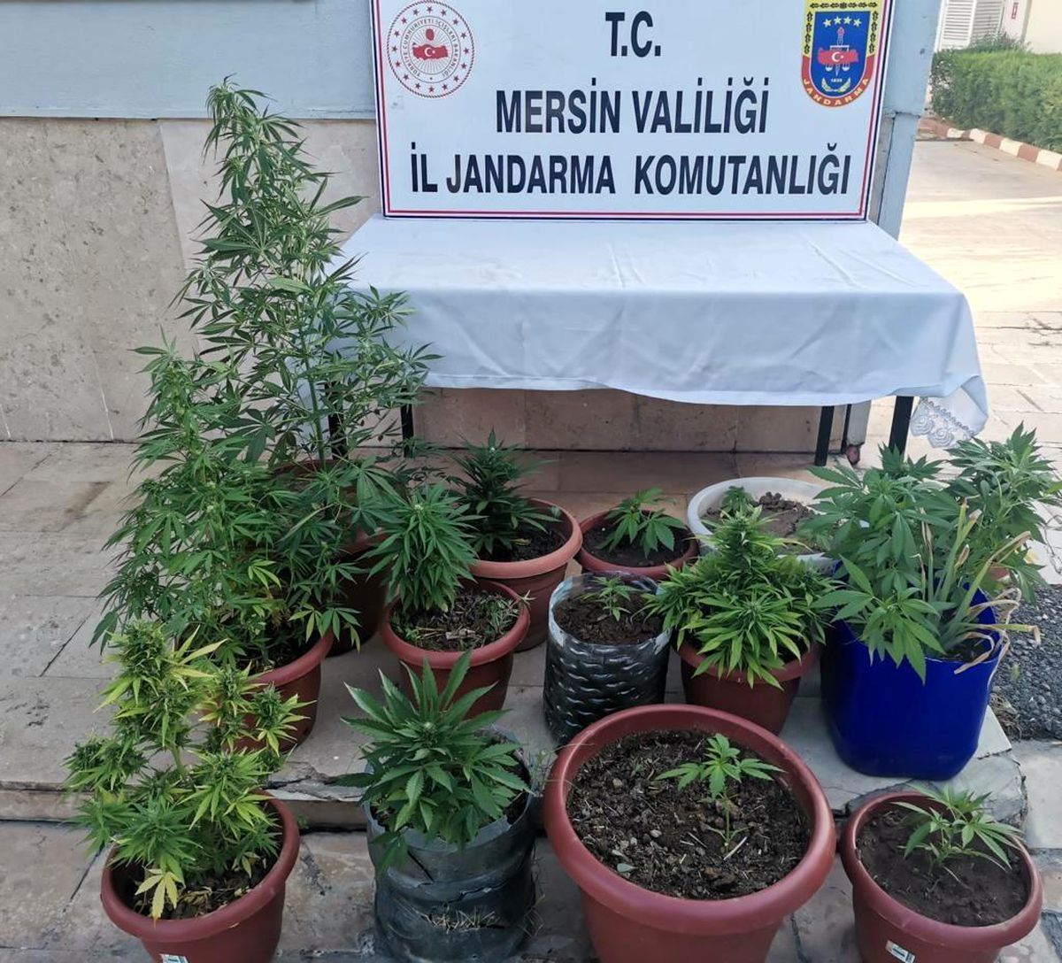 Mersin\'de uyuşturucu operasyonu: 4 gözaltı