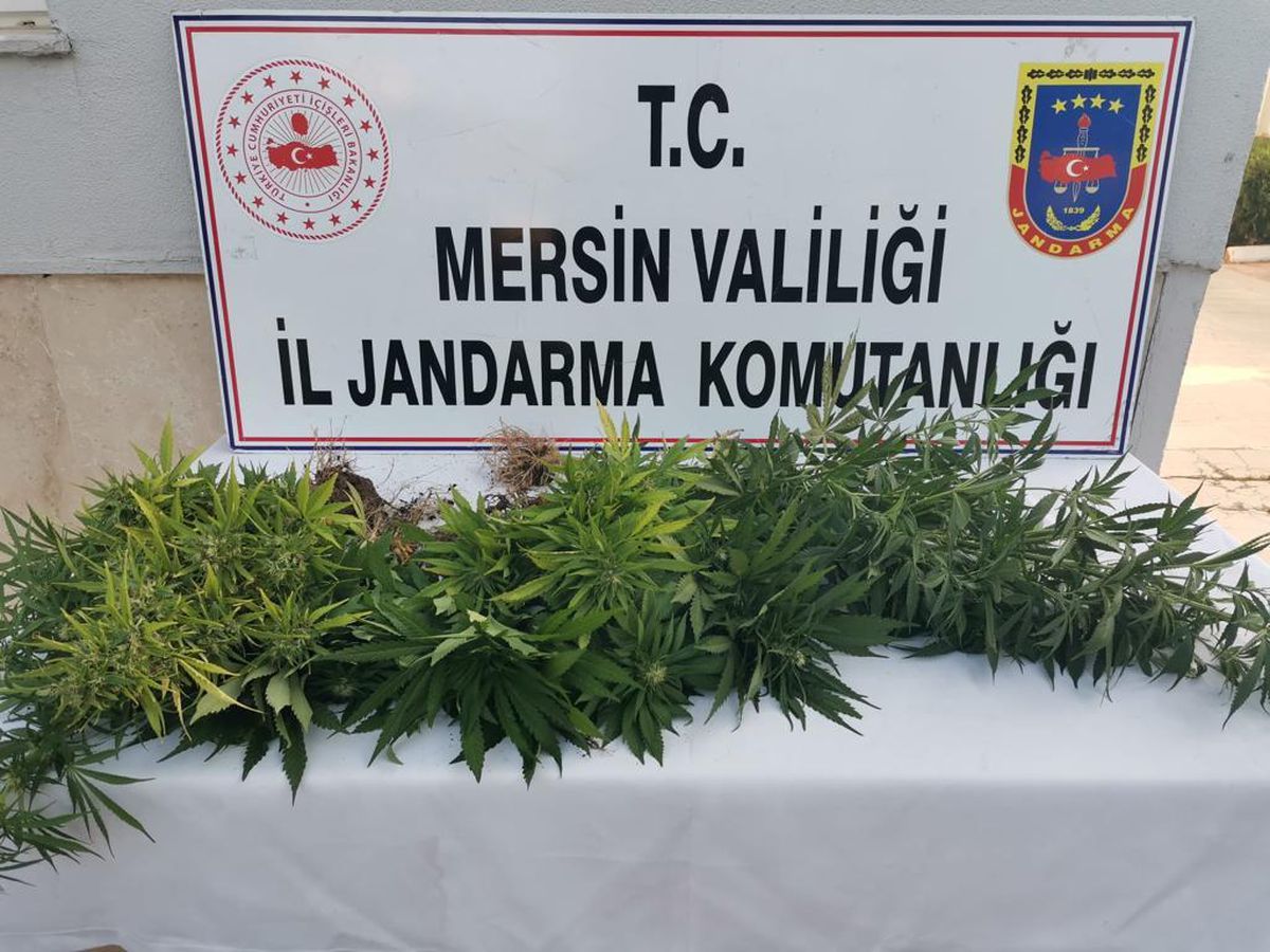 Mersin\'de uyuşturucu operasyonunda 4 şüpheli yakalandı