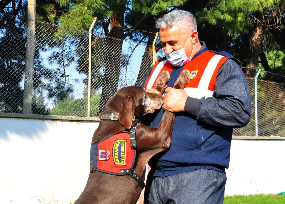 Narkotik köpeği \'Volta\' emekli oldu