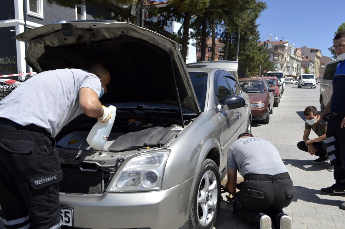 Otomobilin motoruna sıkışan kedi kurtarıldı