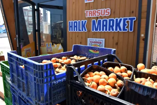 Tarsus Belediyesi, halka yenidünya dağıtmaya devam ediyor