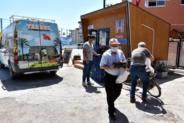 Tarsus Belediyesi, halka yenidünya dağıtmaya devam ediyor