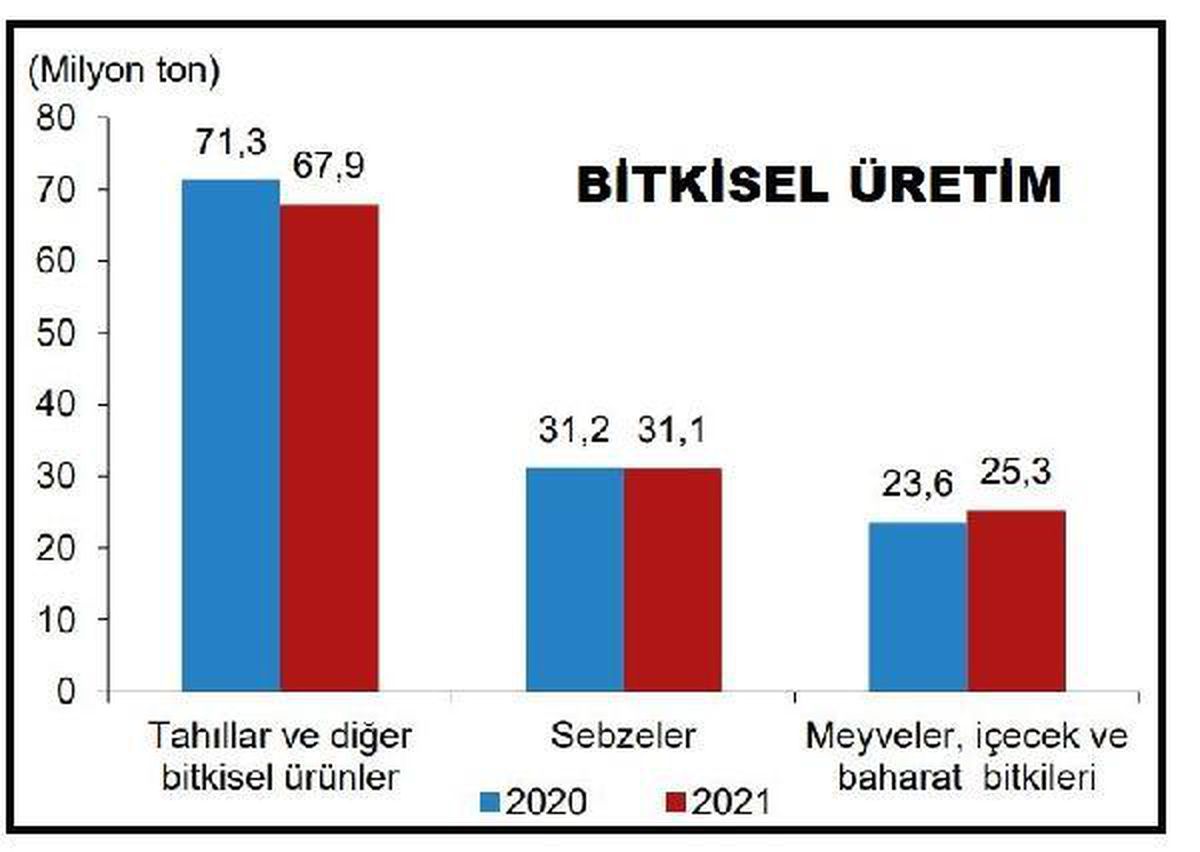 Tahıl ve sebzede üretimin azalacağı, meyvede artacağı tahmin edildi