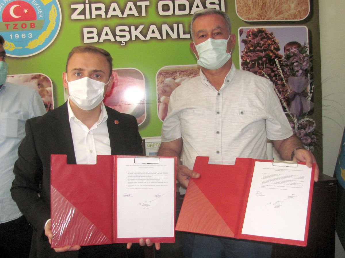 Arabanlı çiftçilerden "Sosyal Fırın"a buğday desteği