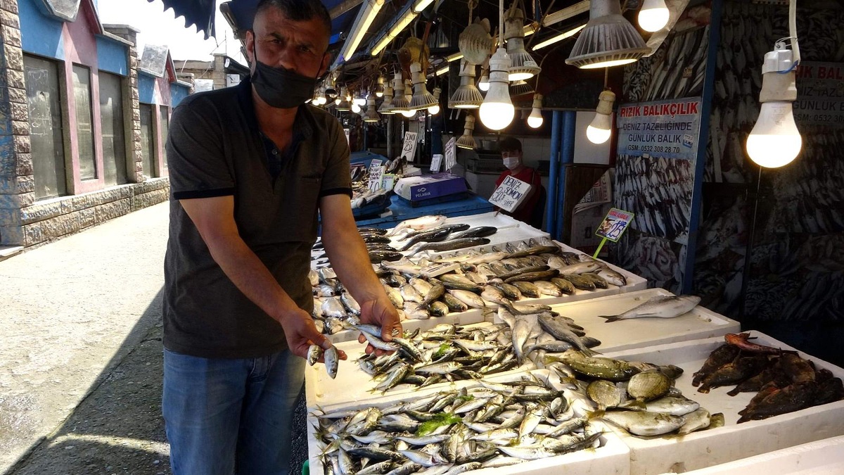 Balık fiyatları el yakıyor