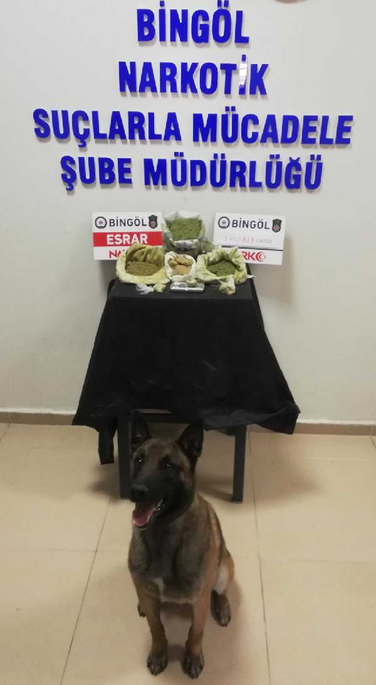 Bingöl\'de 17 suçtan aranan şüpheli yakalandı