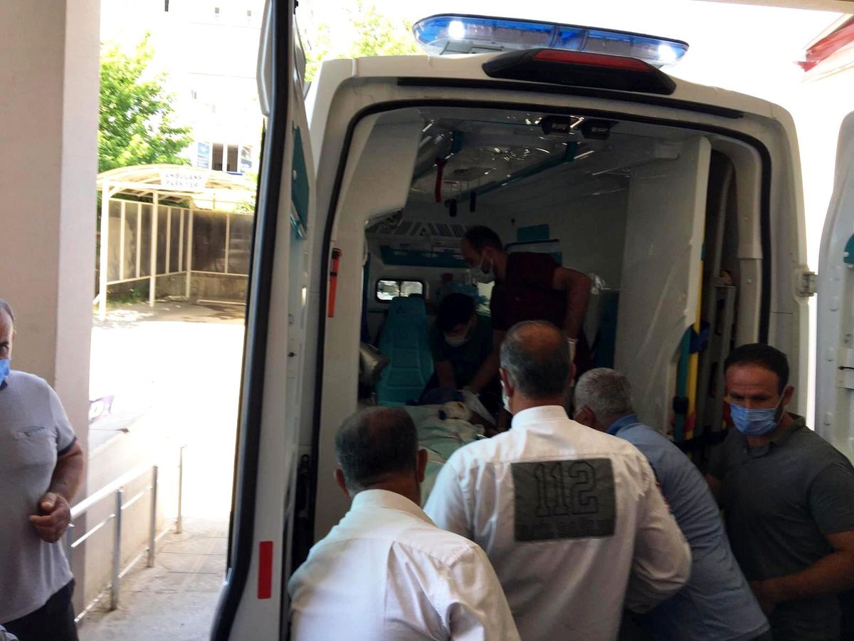 Engerek yılanın ısırdığı şahıs yoğun bakımda