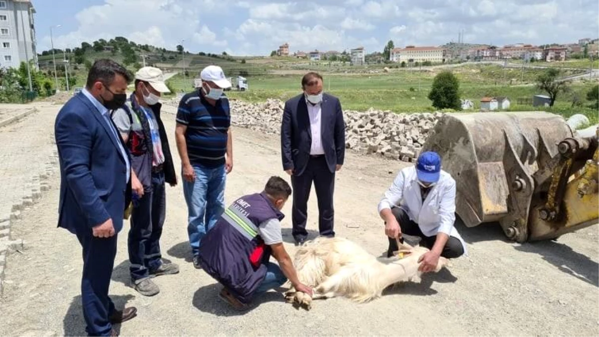 Son dakika haber! İşçiler dakika farkıyla ölümden döndü, başkan kurban kestirdi