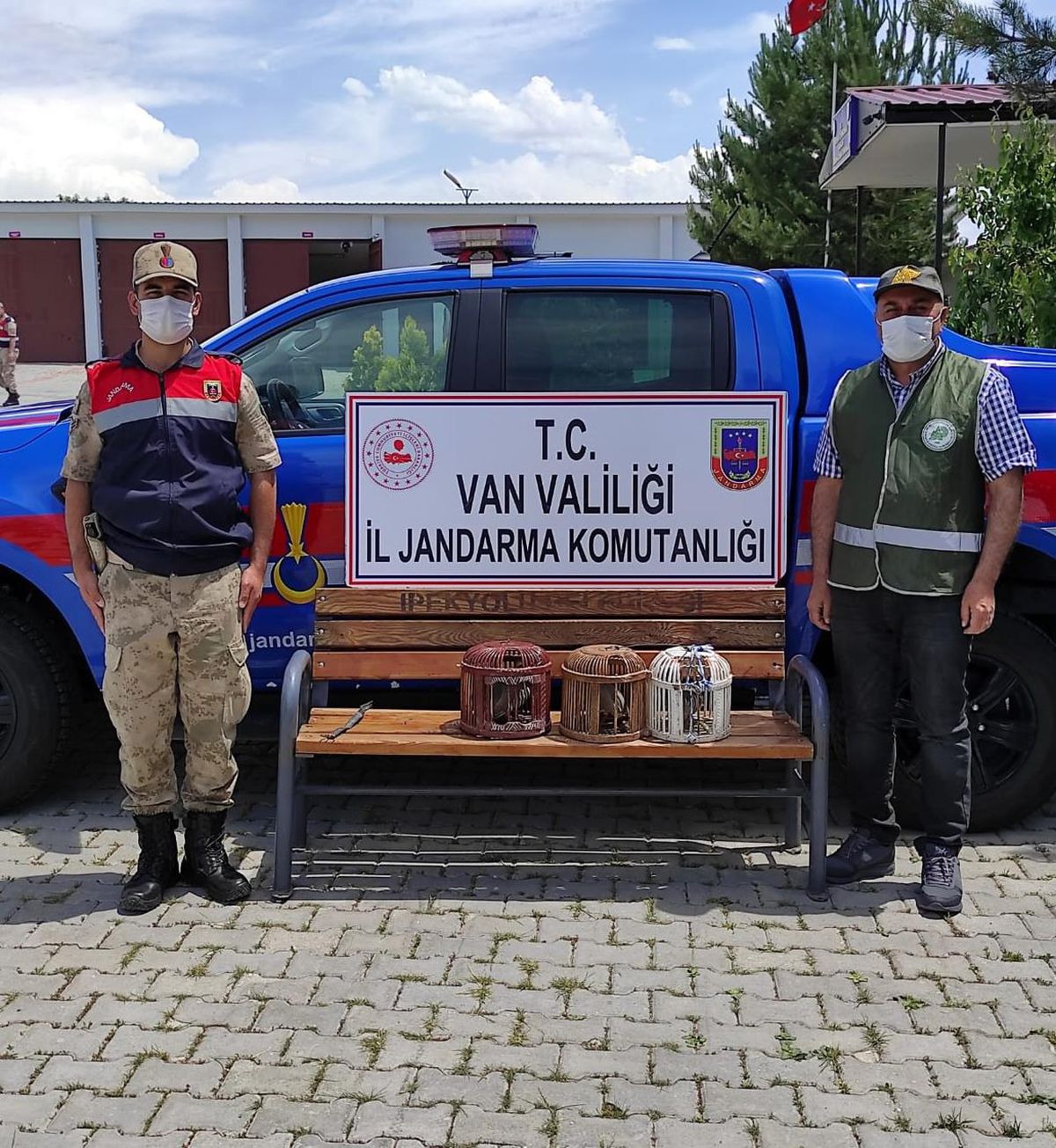 Van\'da jandarma ekiplerince bulunan 3 keklik koruma altına alındı