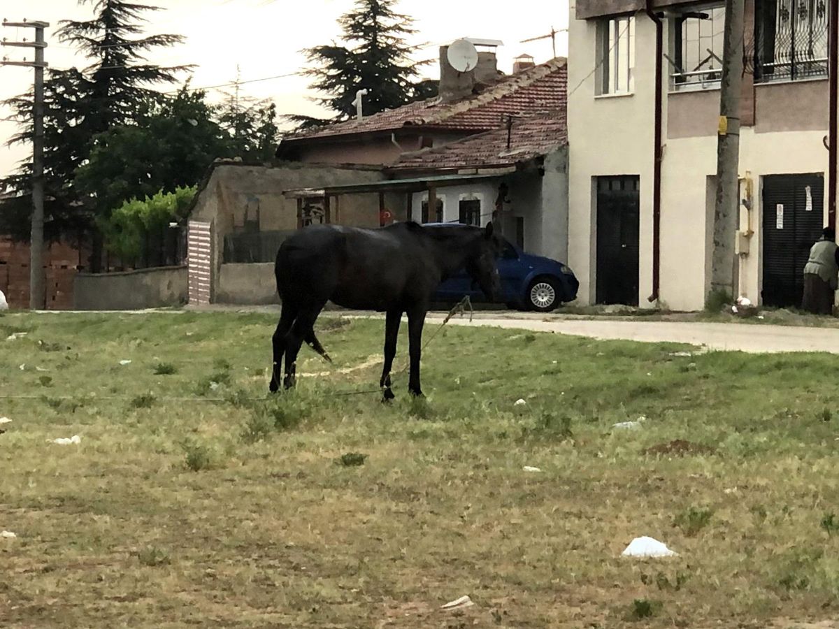 Yağmur altına terk ettiler
