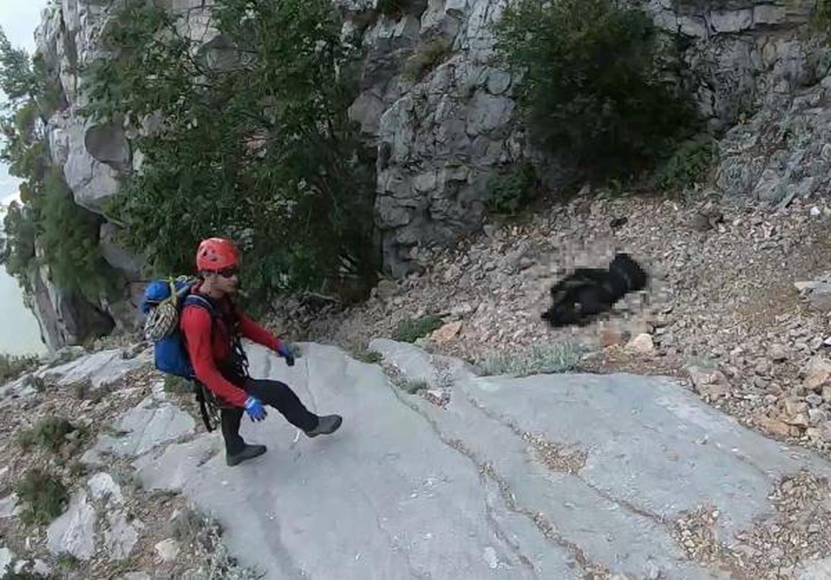 Son dakika! 16 gün sonra ölü bulunan Ukraynalı Yana\'nın cenazesi helikopterle alındı
