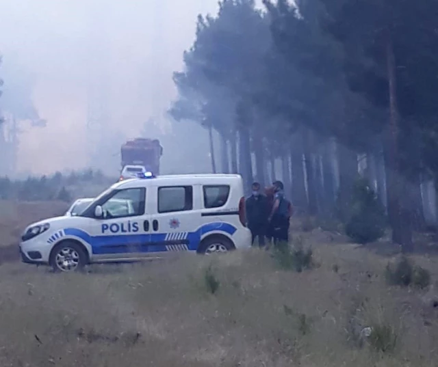 Adana'nın Pozantı ilçesinde çıkan orman yangını söndürüldü - Son Dakika