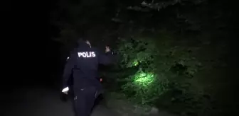 Aranan ayı ailesi bulundu