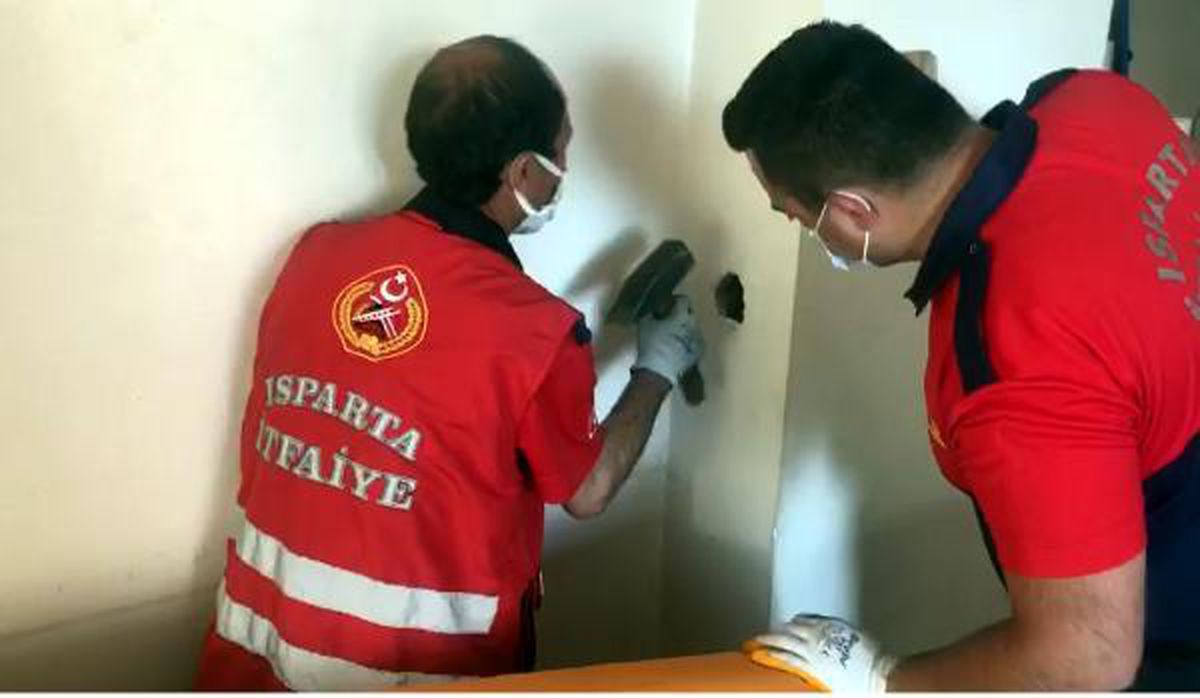 Bacaya sıkışan güvercini itfaiye kurtardı
