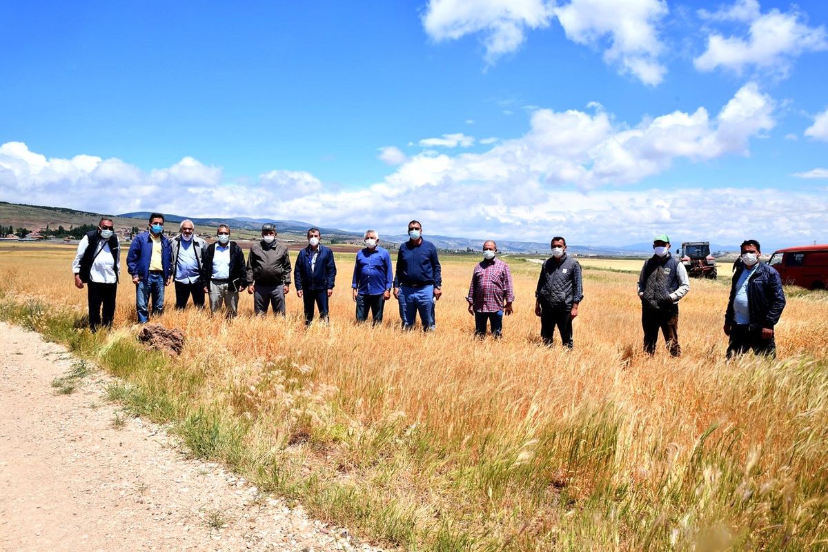 Başkan Ataç kuraklık nedeniyle ürünleri tarlada kalan üreticileri yalnız bırakmadı