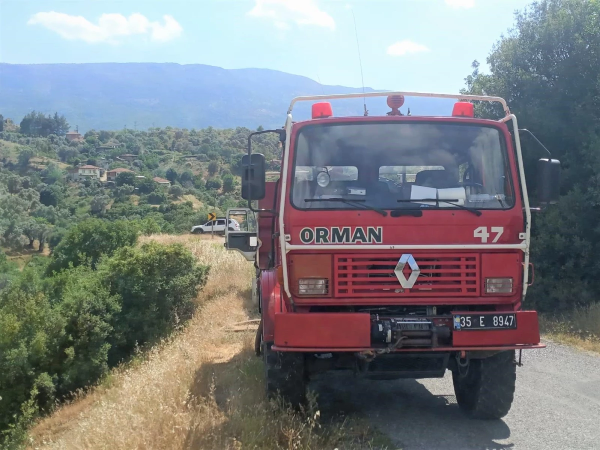 Beydağ\'da çıkan yangında zeytin ağaçları zarar gördü