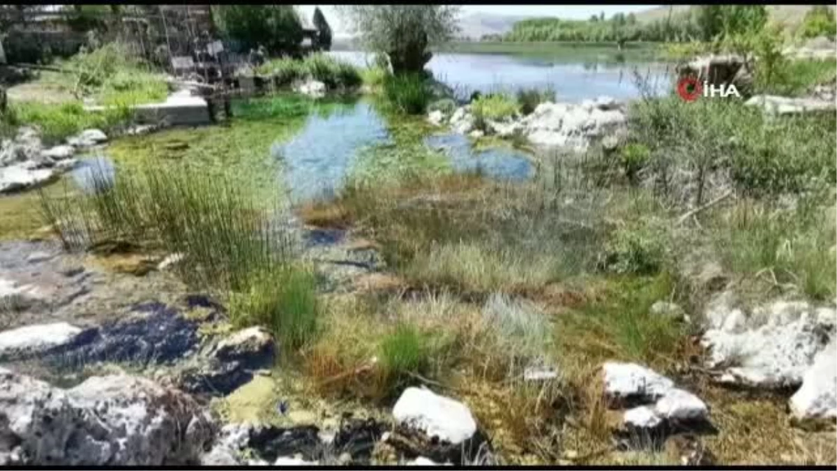 Büyük Menderes Nehri\'nde kuraklık tehlikesi baş gösterdi