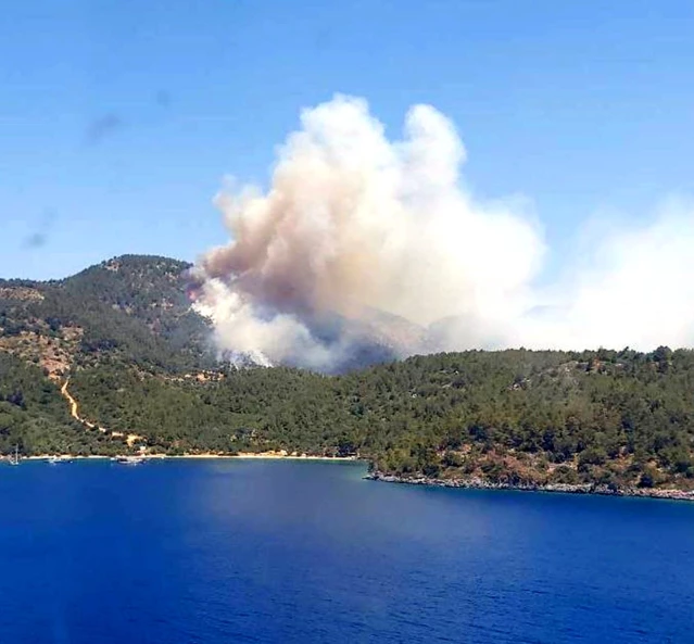 Muğla'daki orman yangını büyüyor