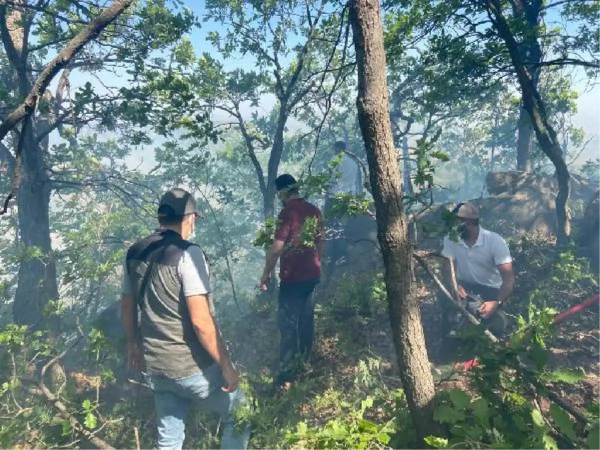 Son dakika... HAMİK DAĞI\'NDA ÇIKAN ÖRTÜ YANGINI KONTROL ALTINA ALINDI