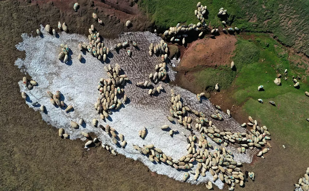 Karadeniz yaylaları muhteşem manzaraları ile ziyaretçilerini bekliyor