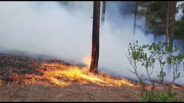 Adana'nın Pozantı ilçesinde çıkan orman yangını söndürüldü - Son Dakika