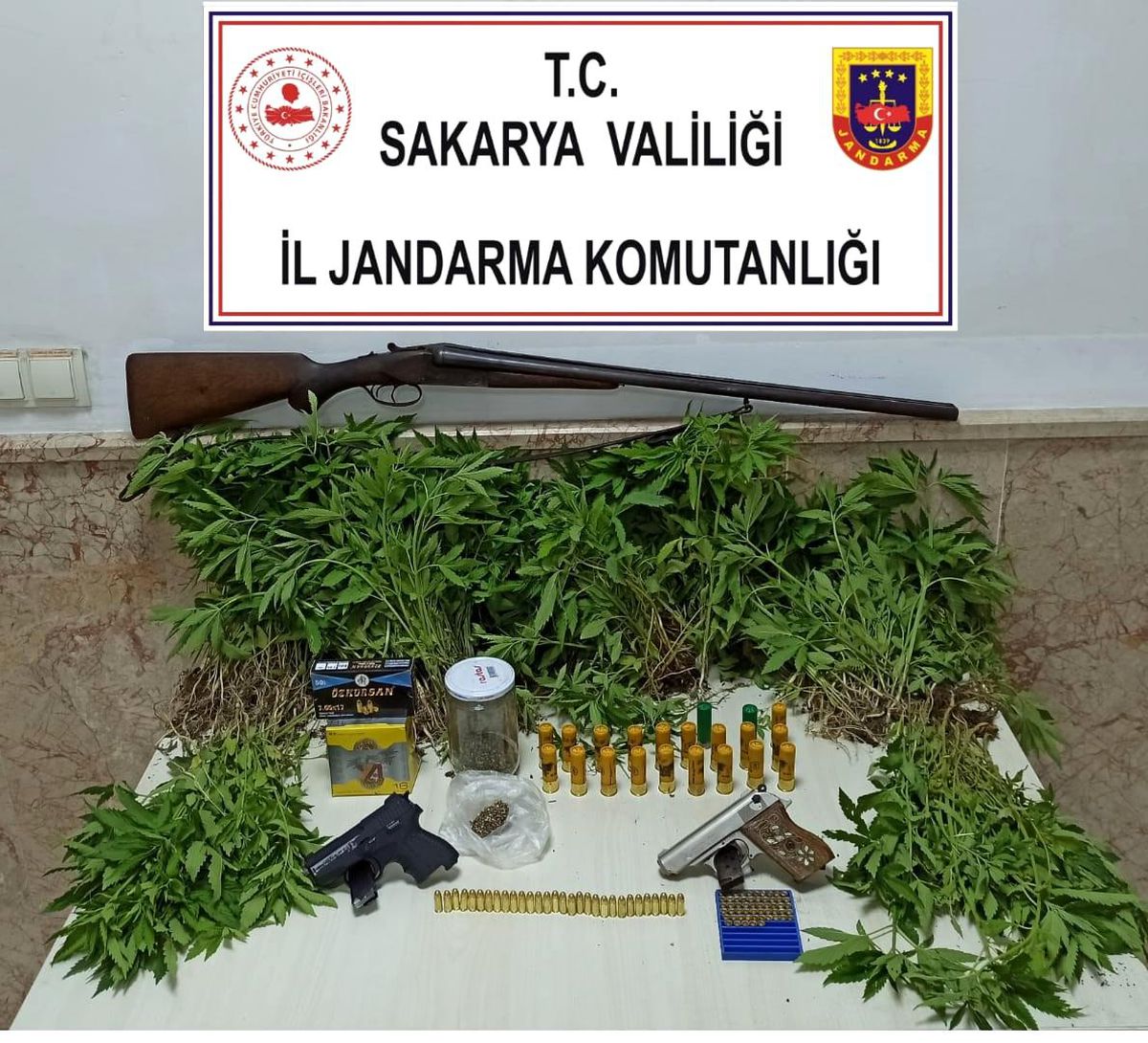 Son dakika: Sakarya\'da \'Yasadışı Kenevir\' operasyonu