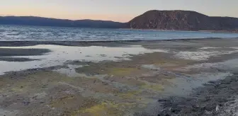 Son dakika... Salda Gölü'ndeki değişimin nedeni mevsimsel polenler