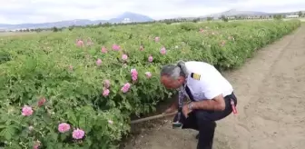 Uçuş eğitmeni pilot, günün stresini kurduğu gül bahçesinde atıyor