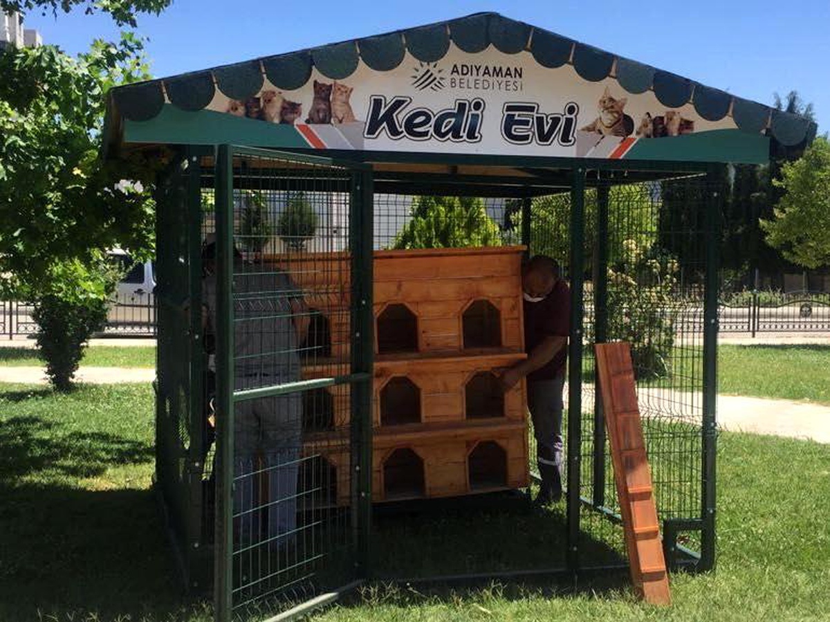 Adıyaman\'da kedi evi sayısı arttırılıyor