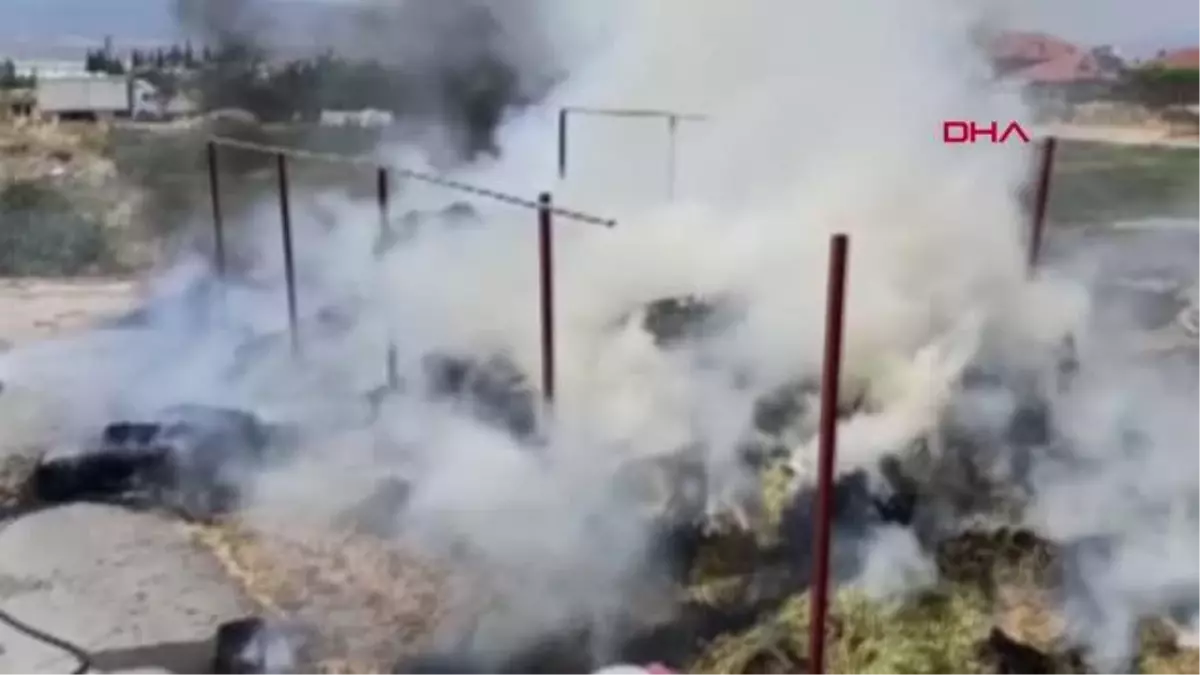 BURDUR 1000 BALYA SAMAN YANDI