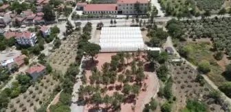 ESKİŞEHİR - Sakarya Nehri'nden beslenen verimli topraklarda mikroklima etkisiyle çeşit çeşit sebze yetiştiriyorlar