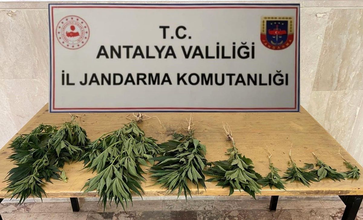 Jandarma\'dan Hint Keneviri baskını