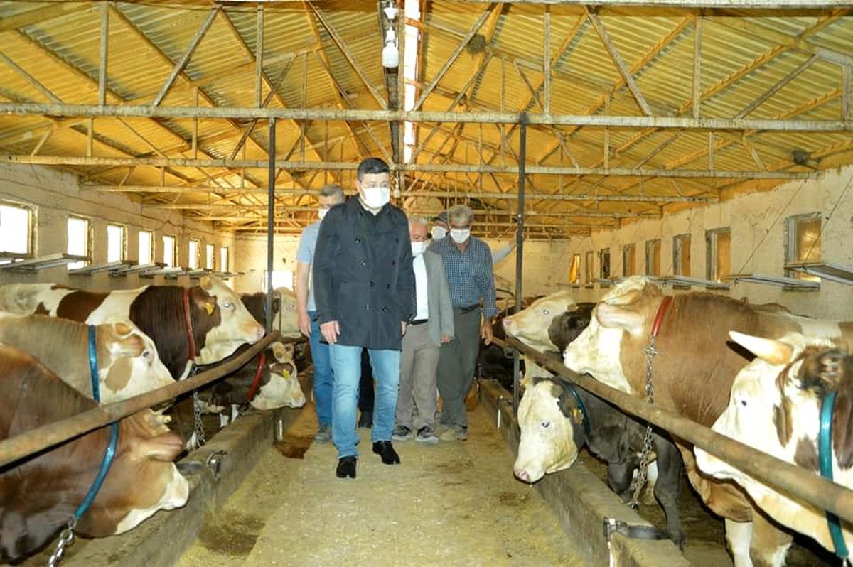Kaymakam Uçar, çiftlikte incelemelerde bulundu