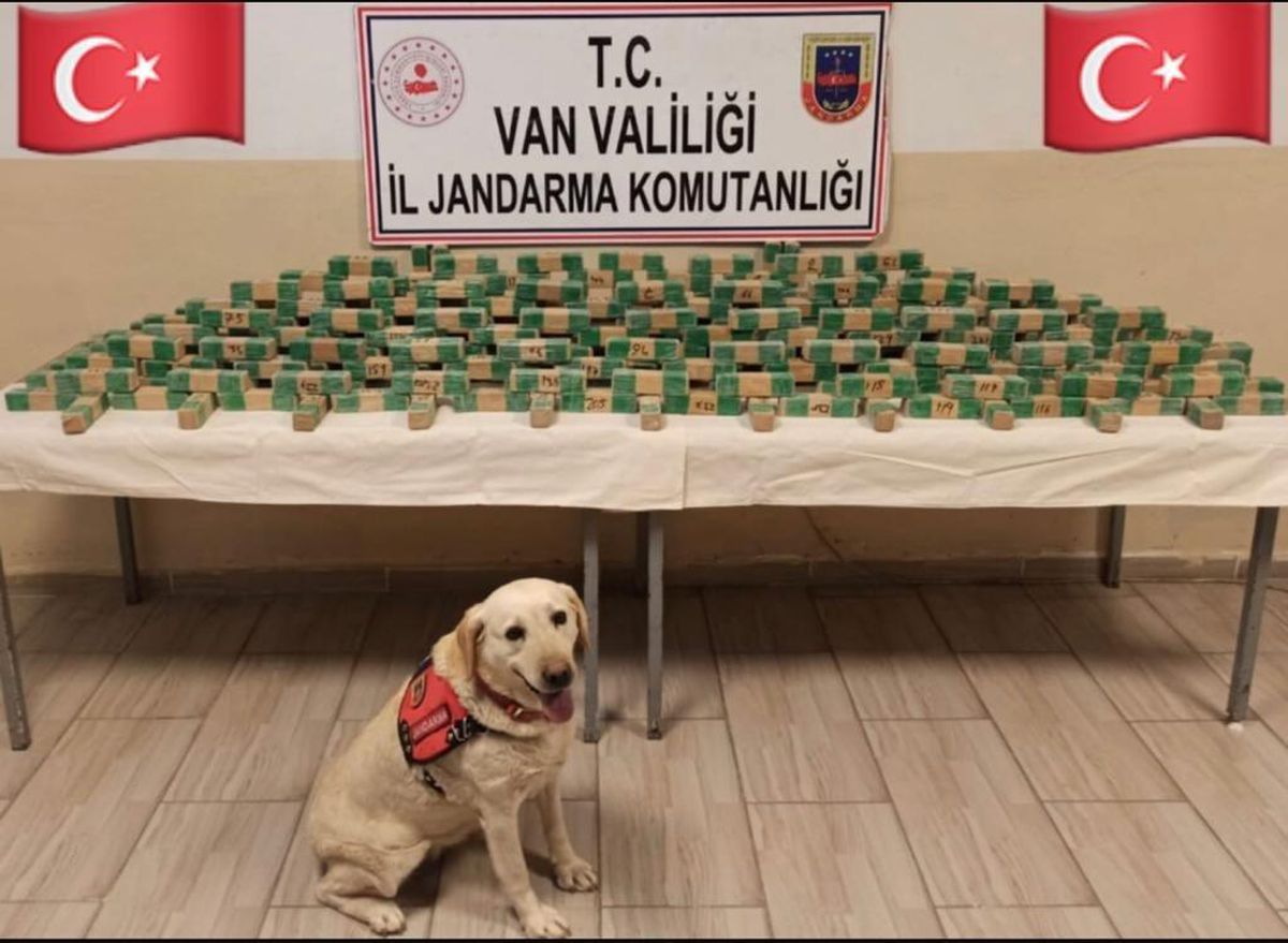 Van\'da 62 kilo eroin ele geçirildi
