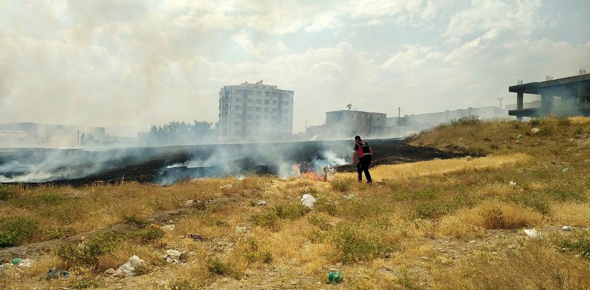 Son dakika haberi: Anız yangını korkuttu