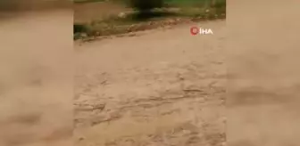 Son Dakika | Aşırı yağış sele neden oldu, selin geliş anları kameralara yansıdı