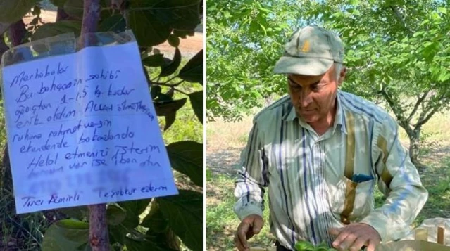 Bahçeden erik yiyen kişi, not yazıp ağaca astı: Borcum var ise IBAN atın