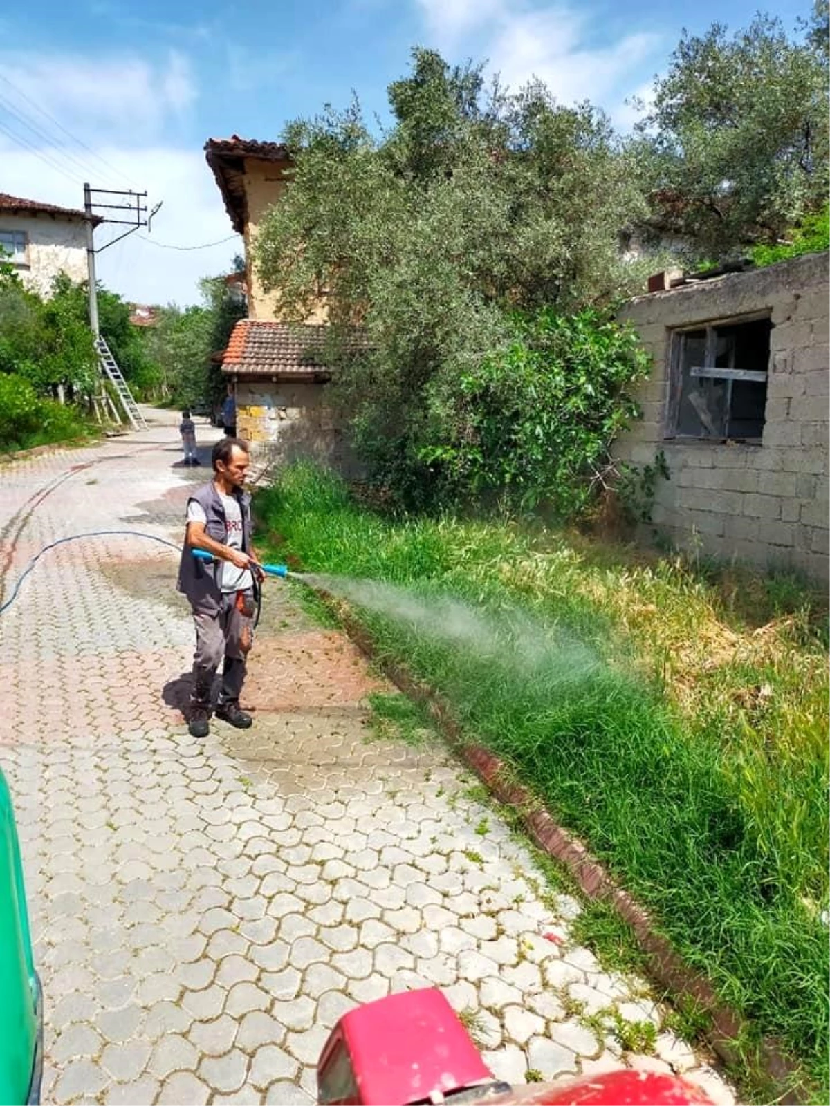 Bayırköy\'de yabani otlarla mücadele çalışması