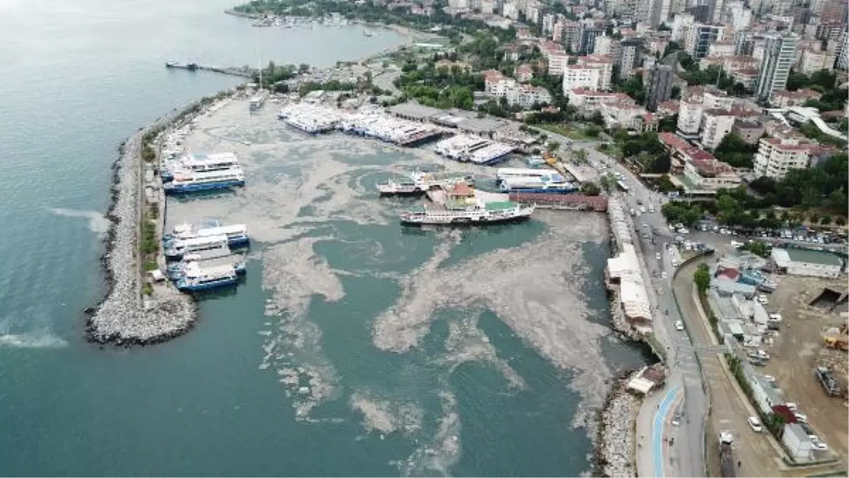 Bostancı sahilini saran deniz salyası havadan görüntülendi