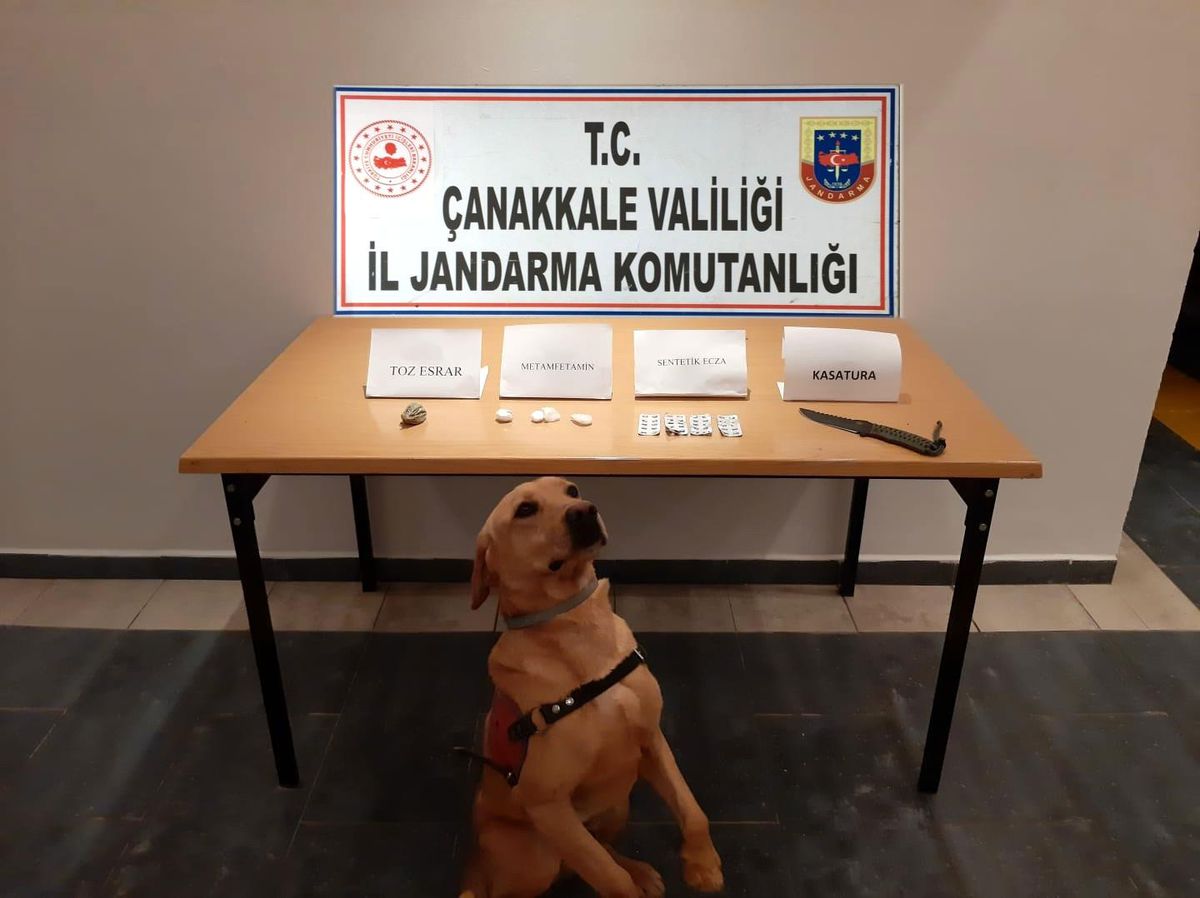 Çanakkale\'de uyuşturucu operasyonu: 2 gözaltı