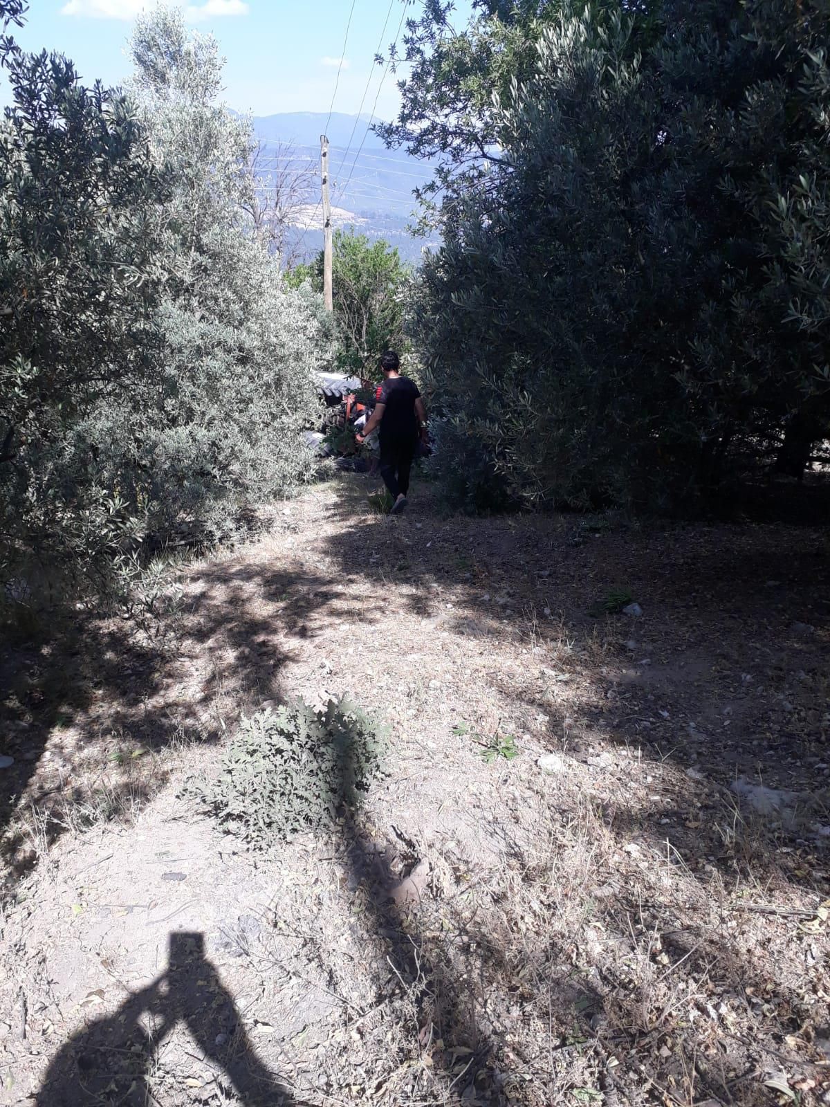 Denizli\'de devrilen traktör sürücüsü yaralandı