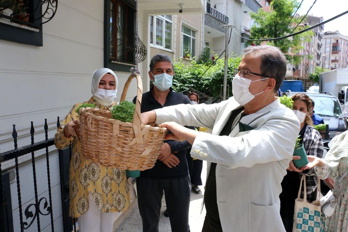 Fesleğen dağıtımı Çırçır ve Esentepe Mahalleleriyle devam etti
