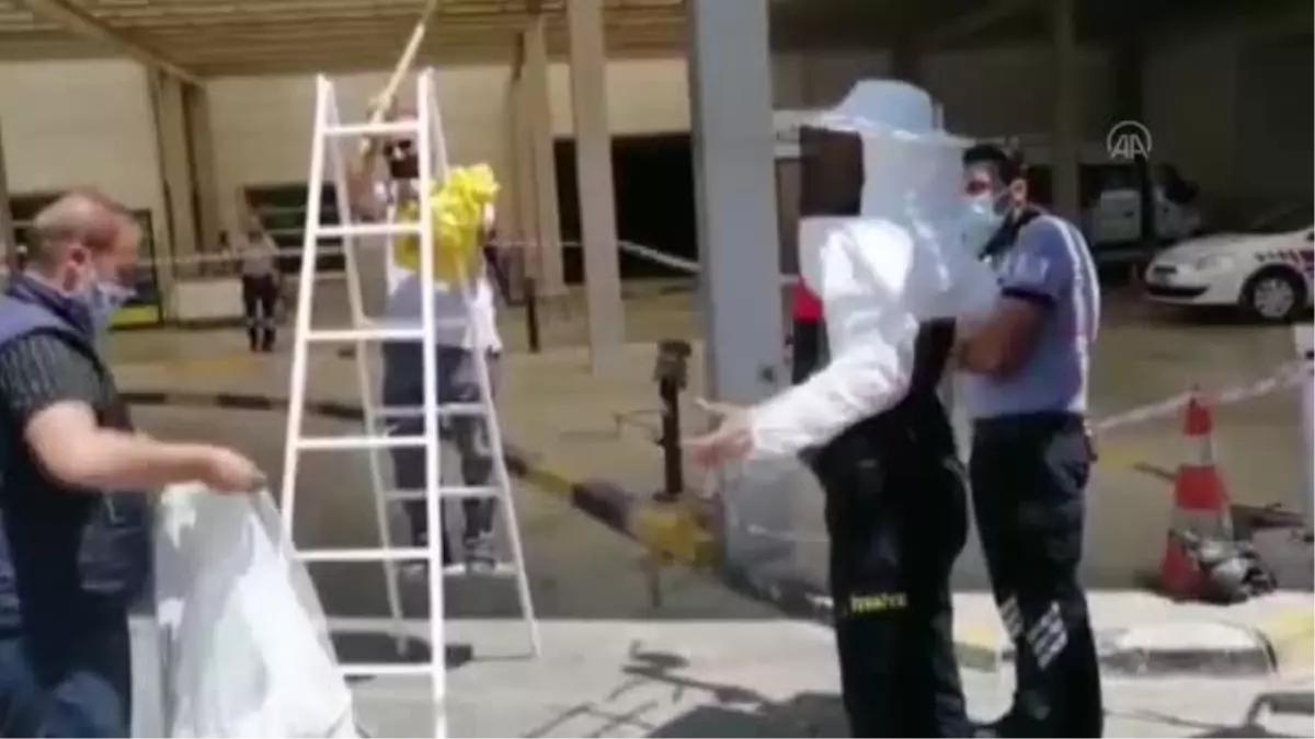 Son dakika! Hastanenin çatısına oğul veren arılar itfaiye ekibince toplandı