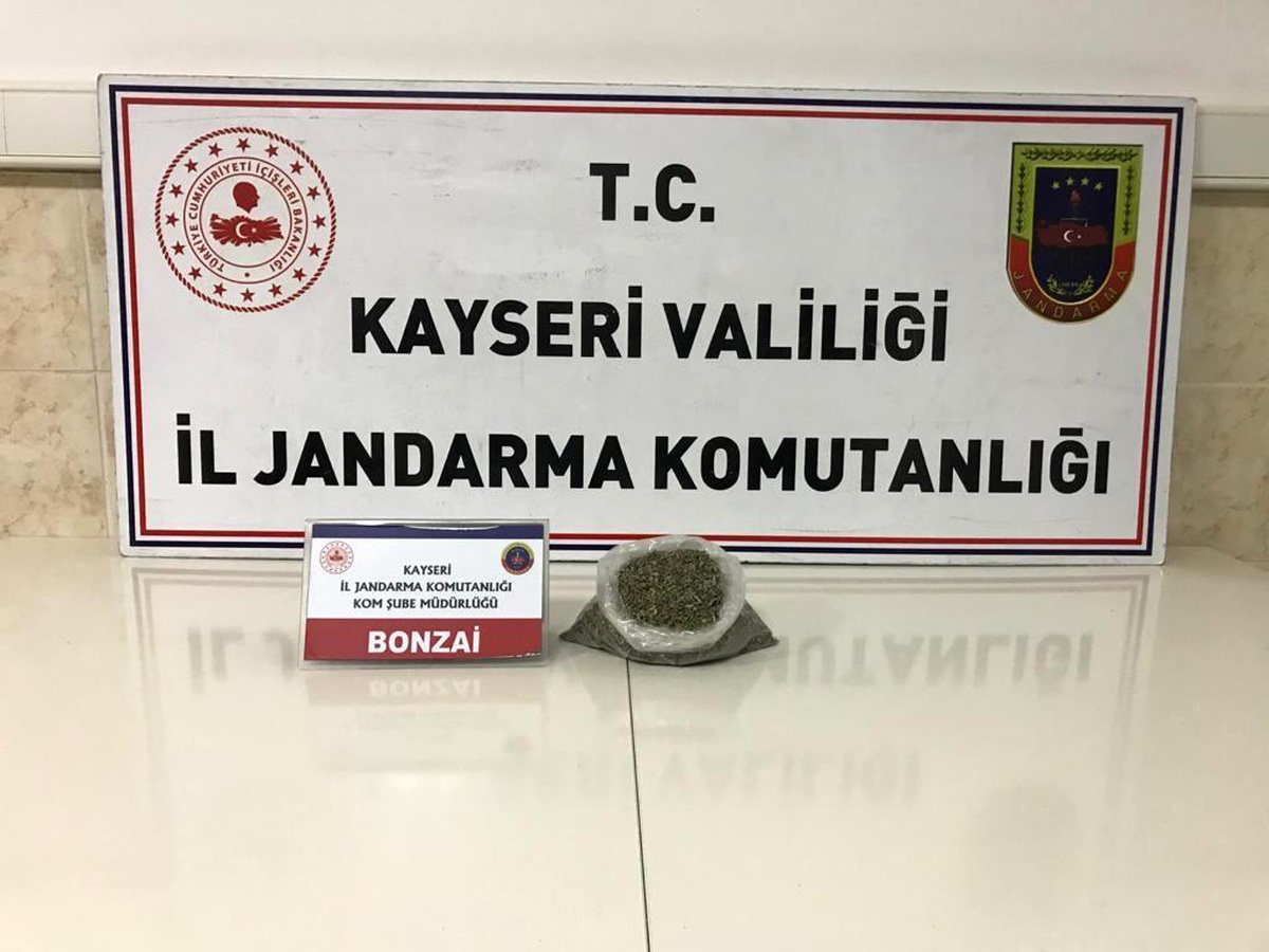 Son dakika haberi! Jandarmadan uyuşturucu operasyonu: 1 gözaltı