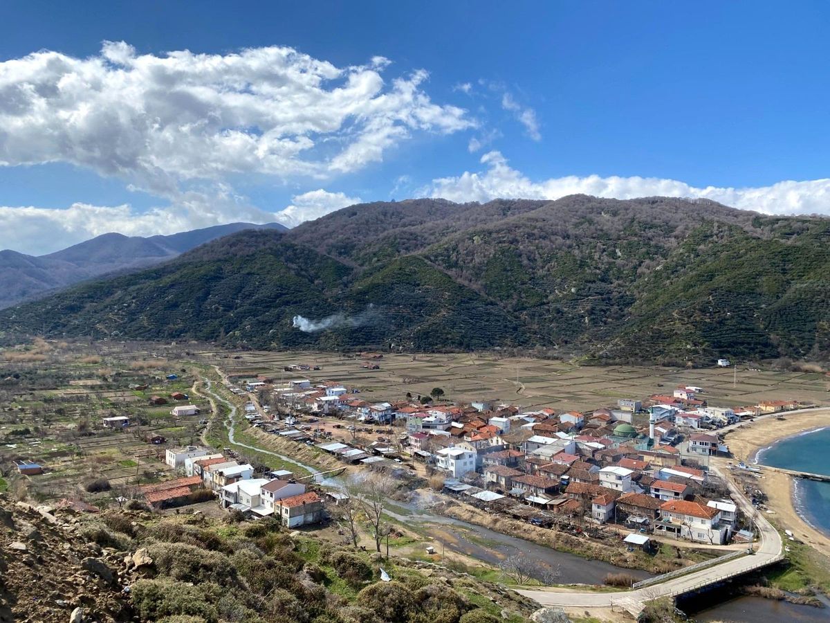 Kapıdağ mor soğanında zarar yok