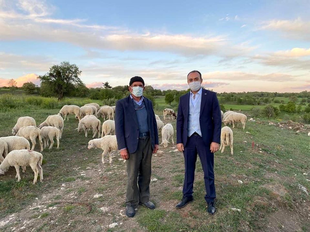 Kaymakam Pelvan: "Aslanapa\'da hayvancılık en önemli gelir kaynağı"