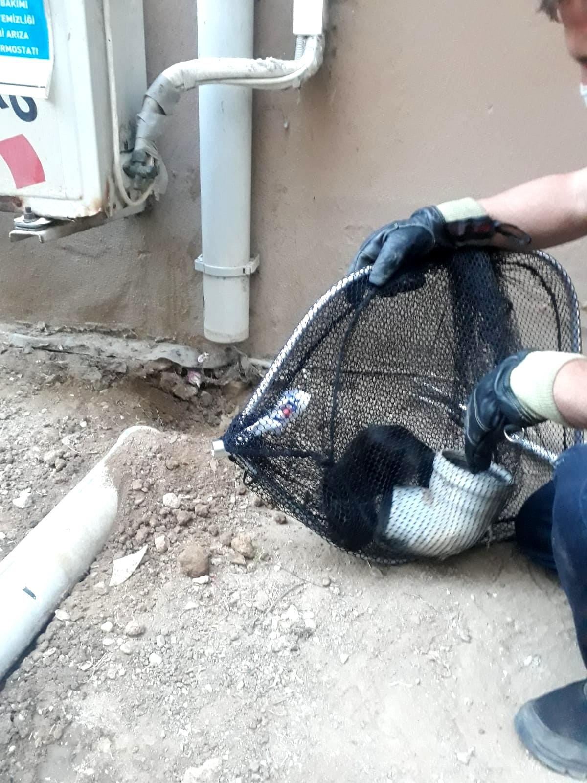 Kırklareli\'nde yağmur suyu tahliye borusunda mahsur kalan yavru kedi kurtarıldı