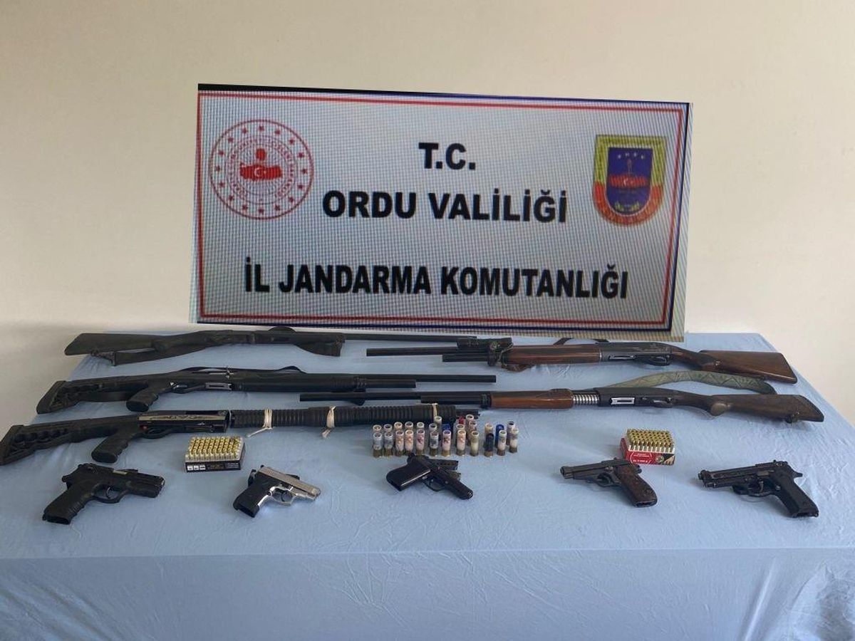 Ordu\'da silah kaçakçılığı operasyonunda 1 kişi yakalandı