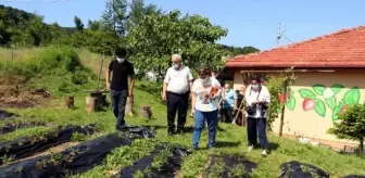 OSMANLI ÇİLEĞİNİN GENİ ARAŞTIRILIYOR